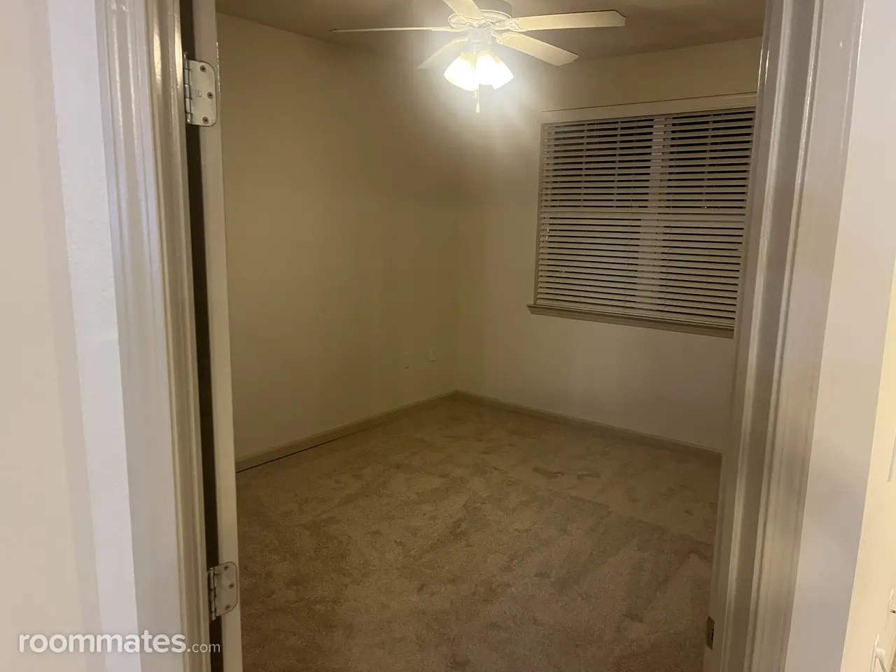 Profile photo 6 of 14