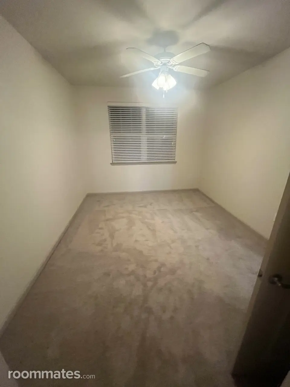 Profile photo 8 of 14