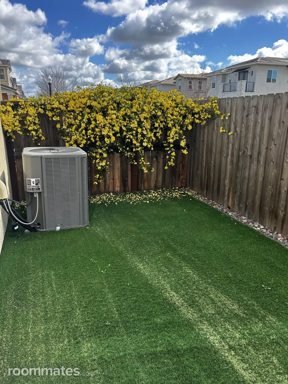 Profile photo 8 of 9