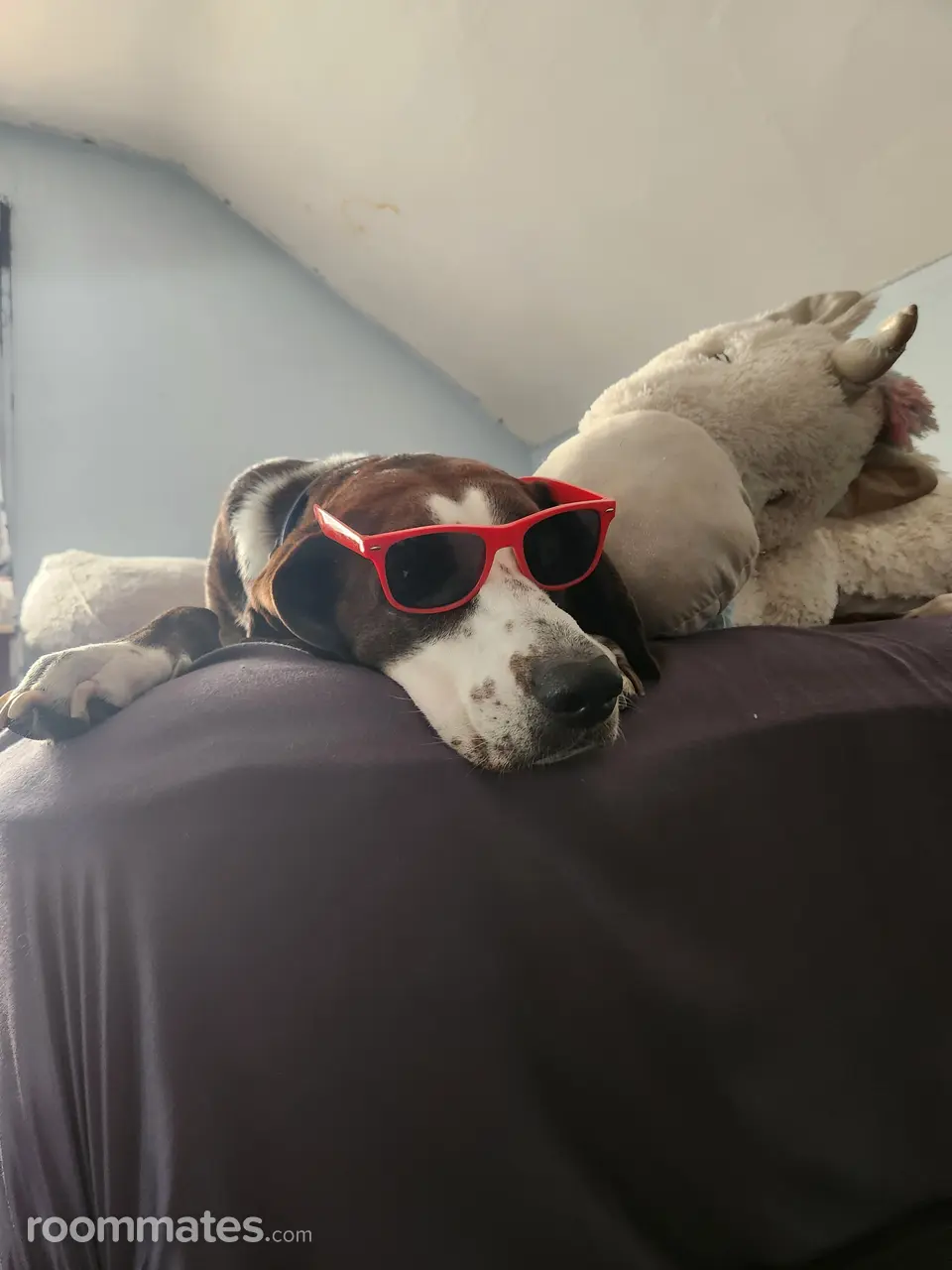 Profile photo 1 of 1