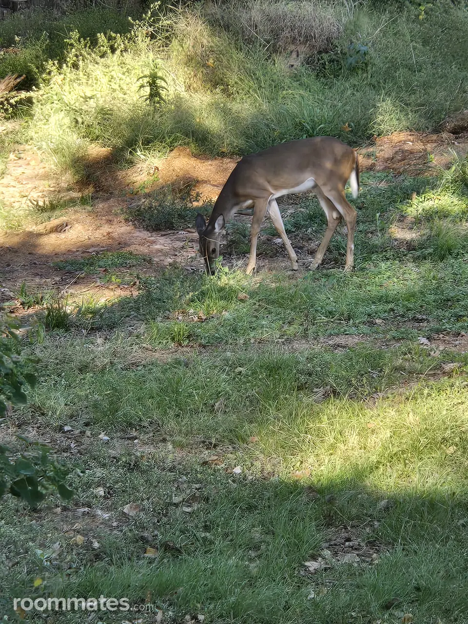 Profile photo 2 of 3