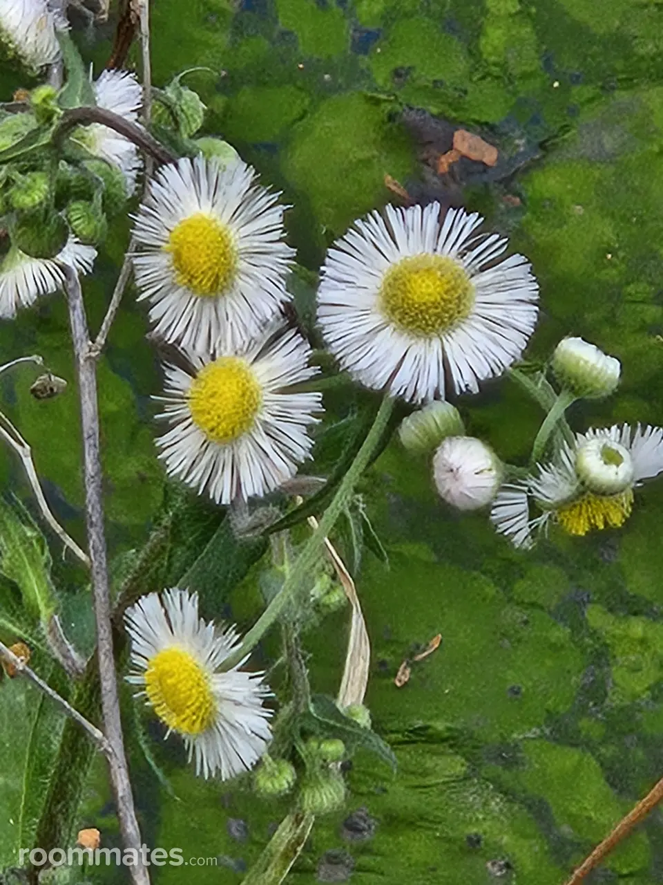 Profile photo 3 of 3