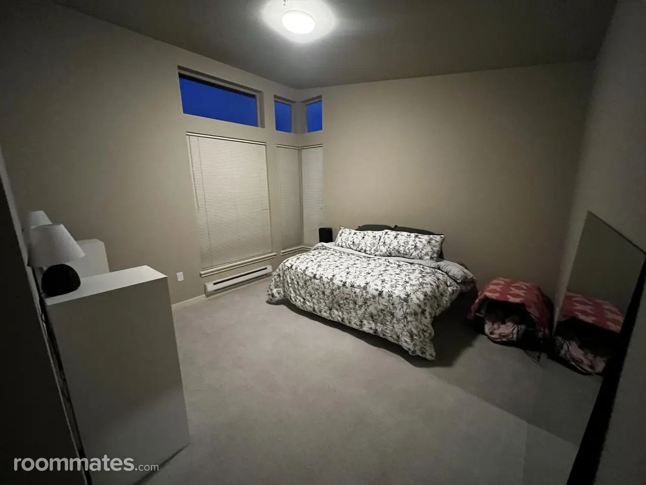 Profile photo 7 of 14