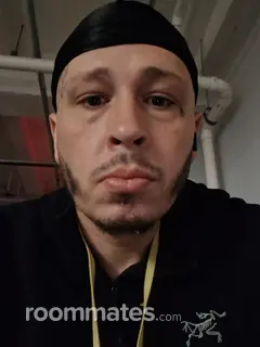 Roommate looking Reading, PA, $500