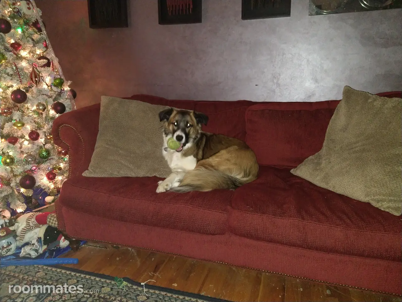 Profile photo 4 of 7