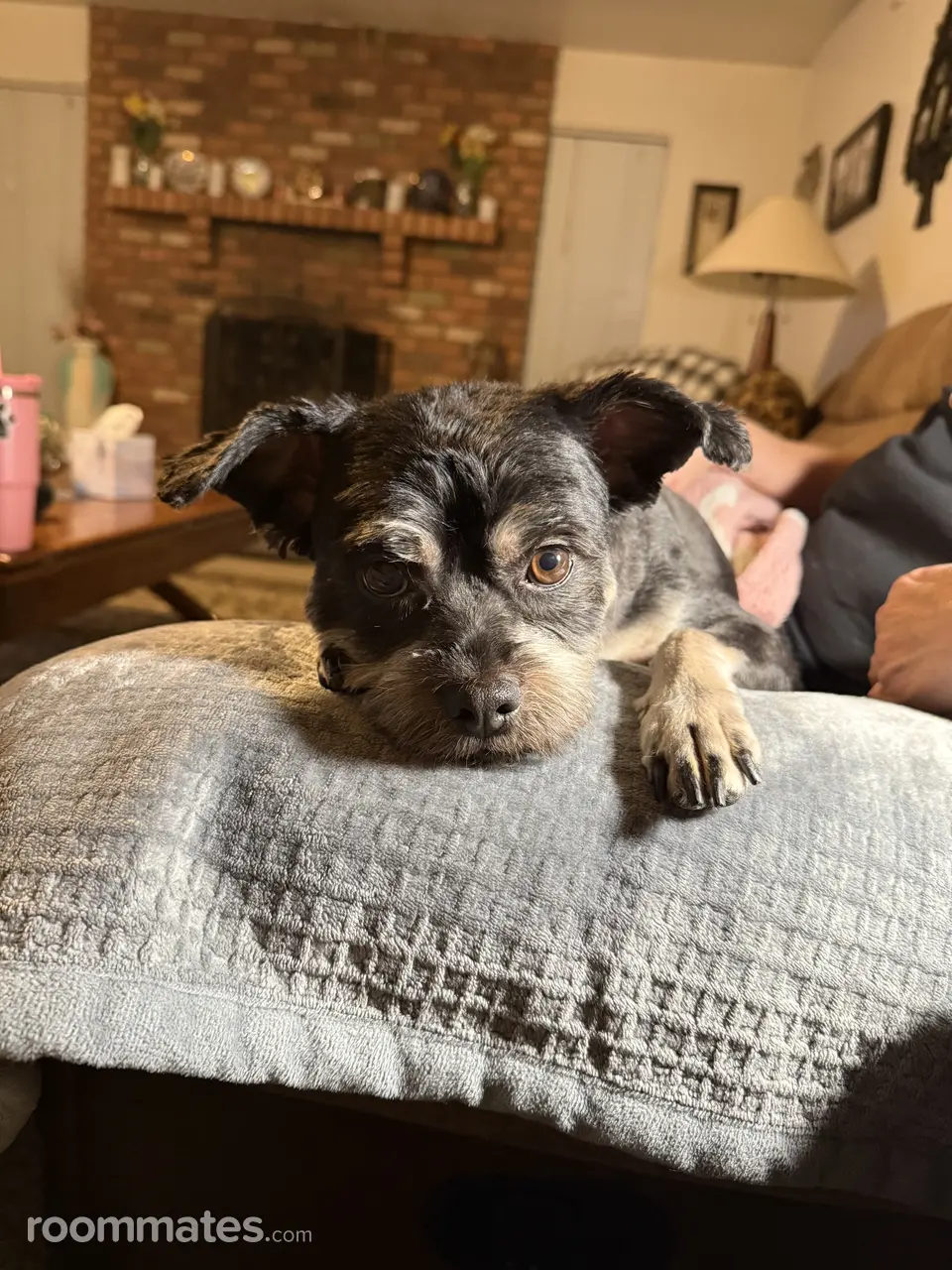 Profile photo 3 of 5