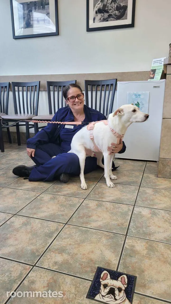 Profile photo 4 of 5