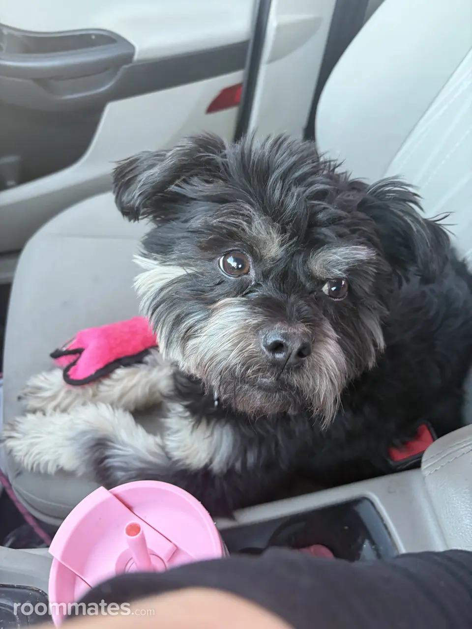 Profile photo 5 of 5