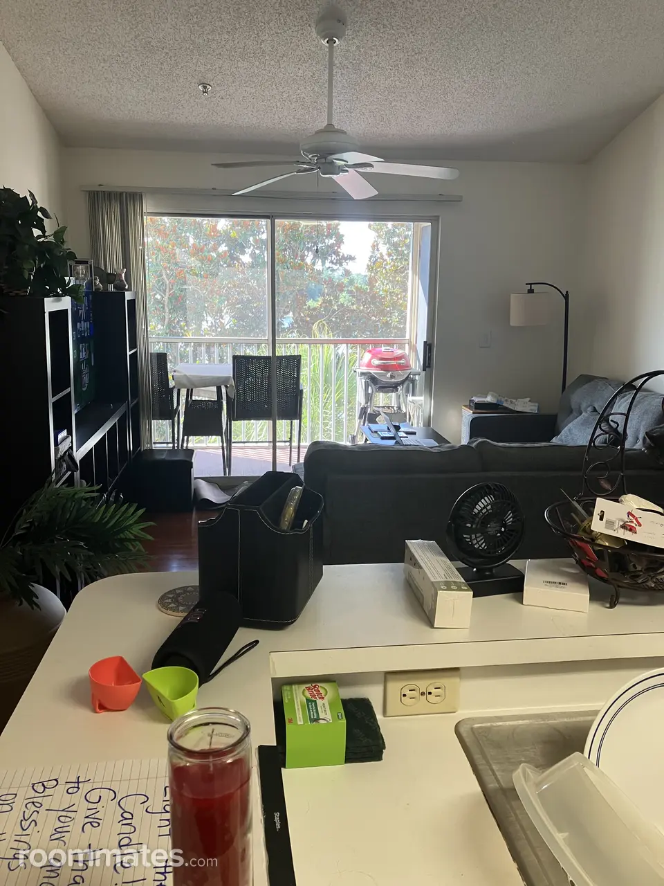 Profile photo 4 of 7