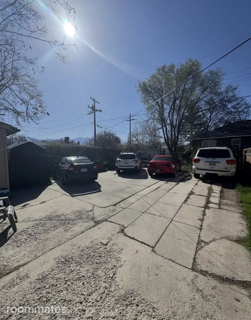 Profile photo 8 of 16