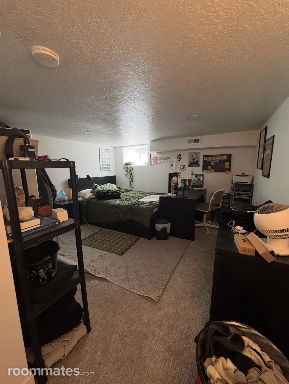 Profile photo 1 of 16