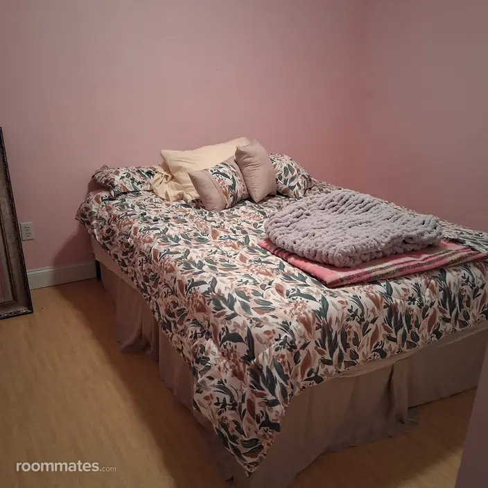 Room for rent in Mechanicville, NY $550, house