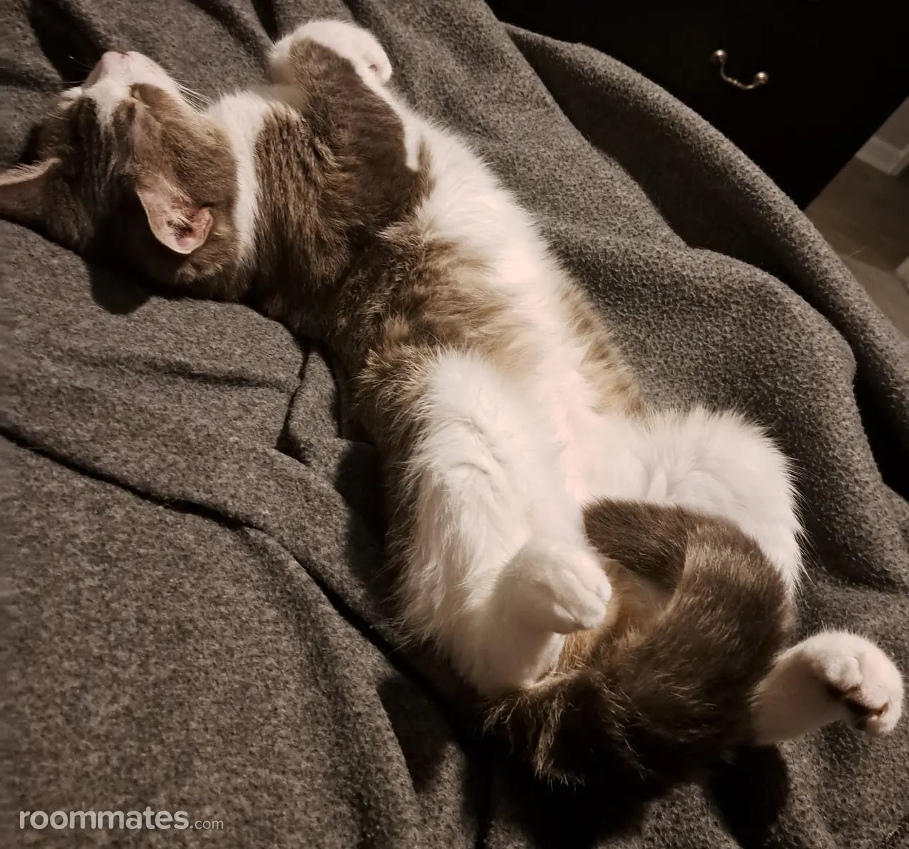 Profile photo 7 of 9