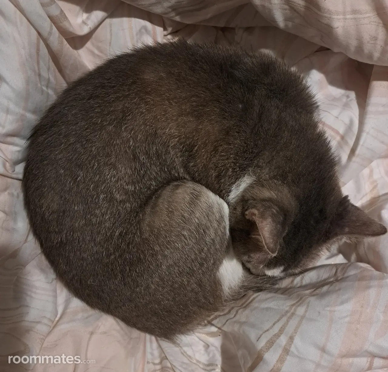 Profile photo 8 of 9