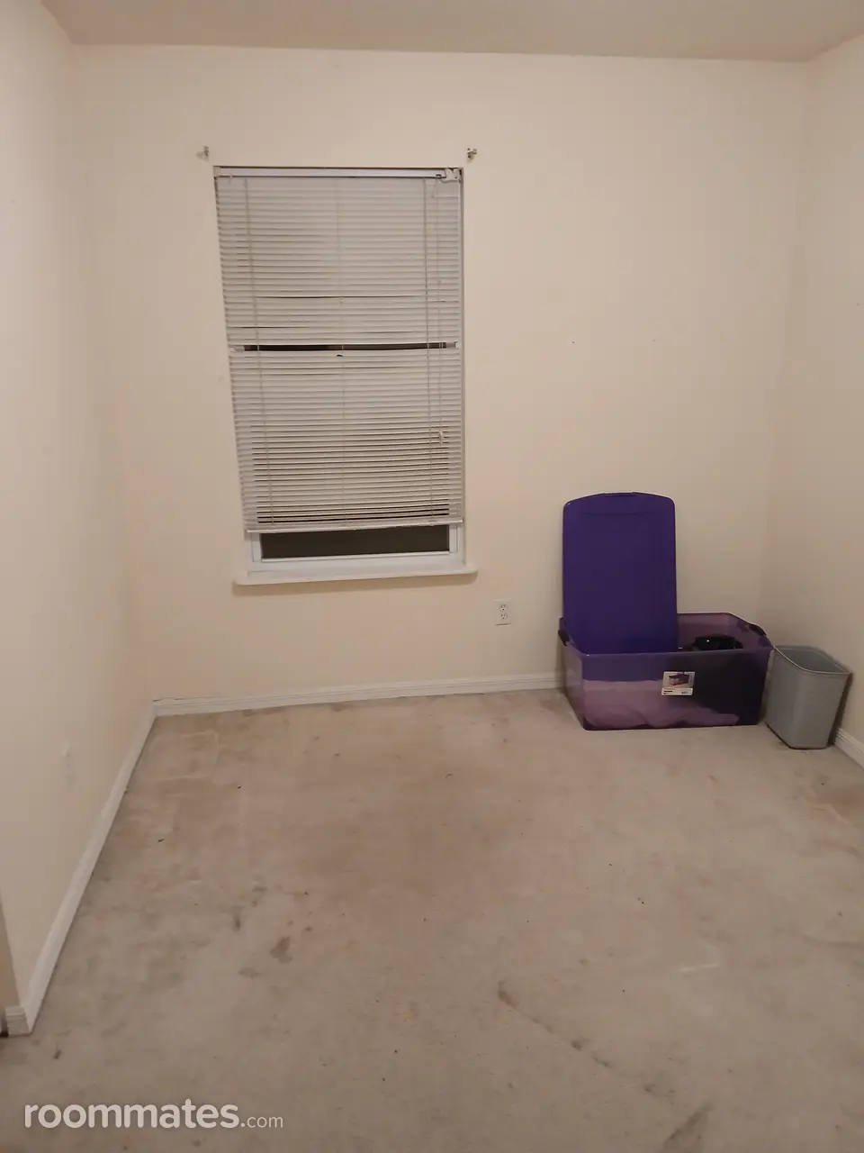 Profile photo 1 of 7