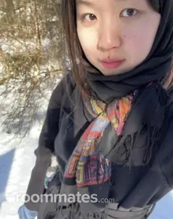 Roommate looking College Point, NY, $1700