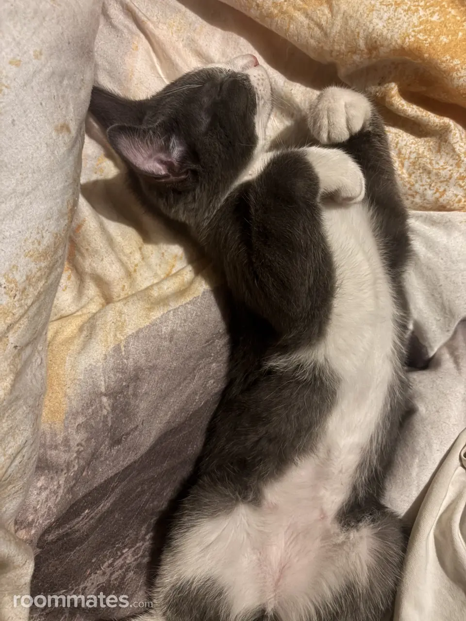 Profile photo 3 of 4