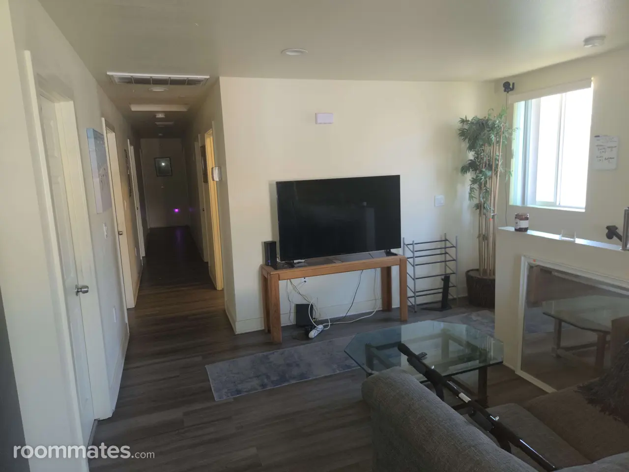 Profile photo 4 of 12