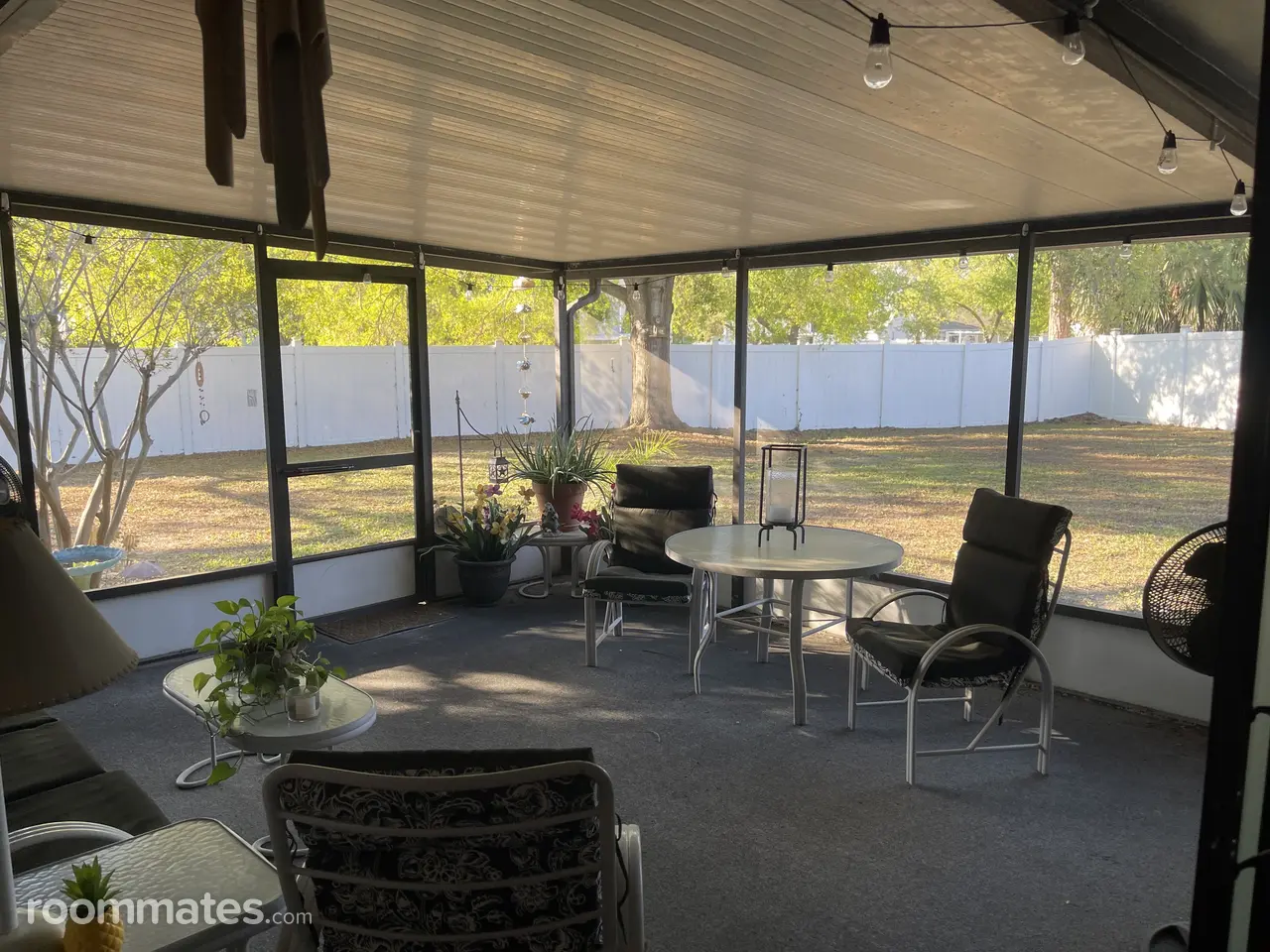 Profile photo 8 of 10