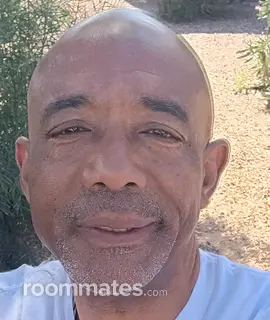 Roommate looking Phoenix, AZ, $1100