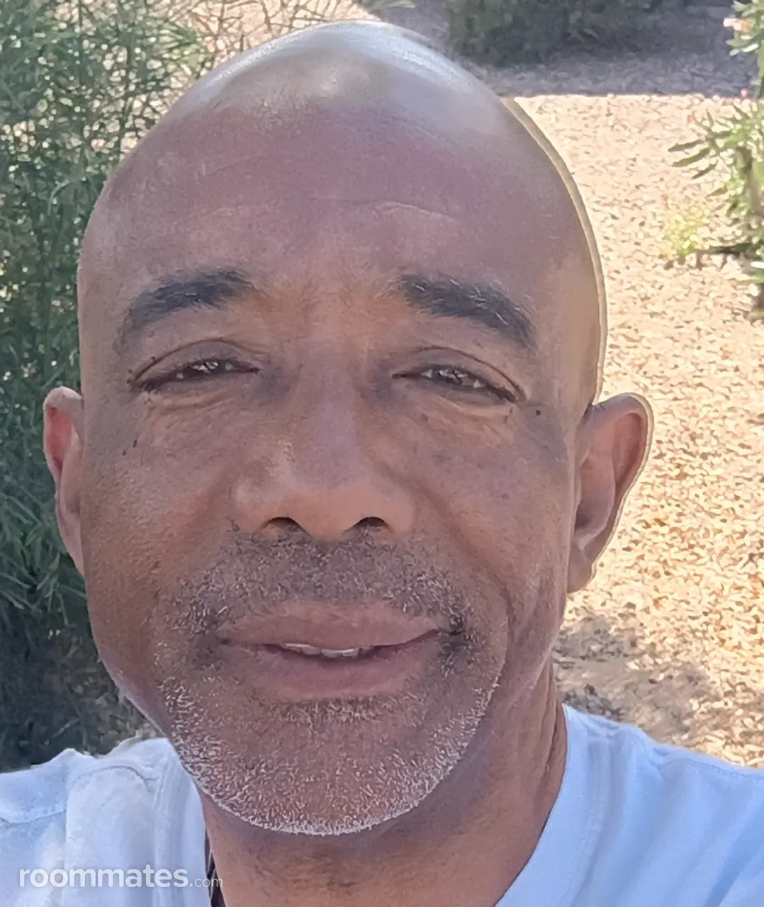 Profile photo 1 of 1