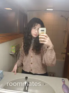 Roommate looking Saint Clair Shores, MI, $600