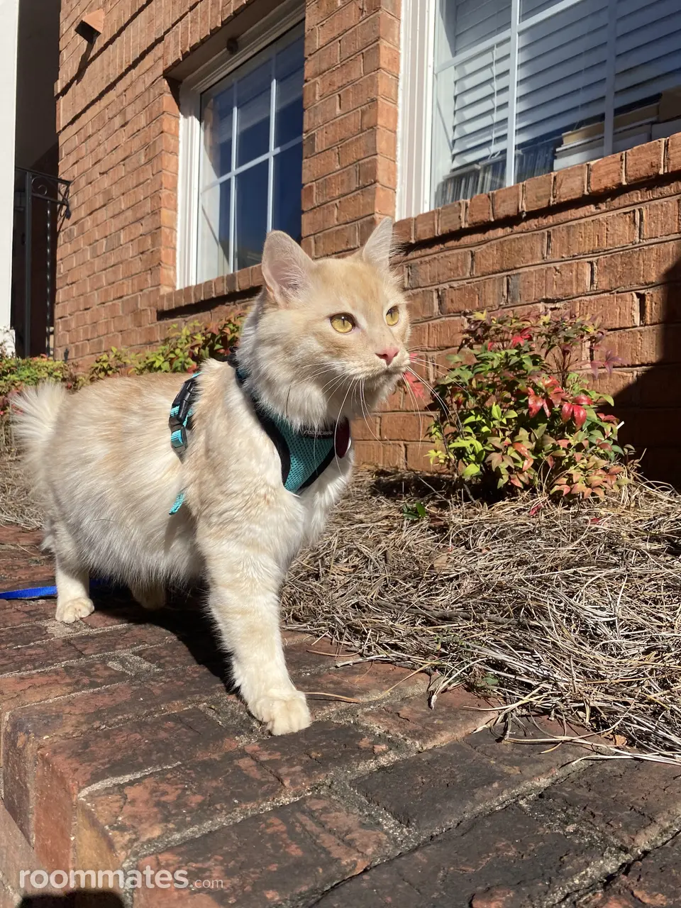 Profile photo 8 of 10