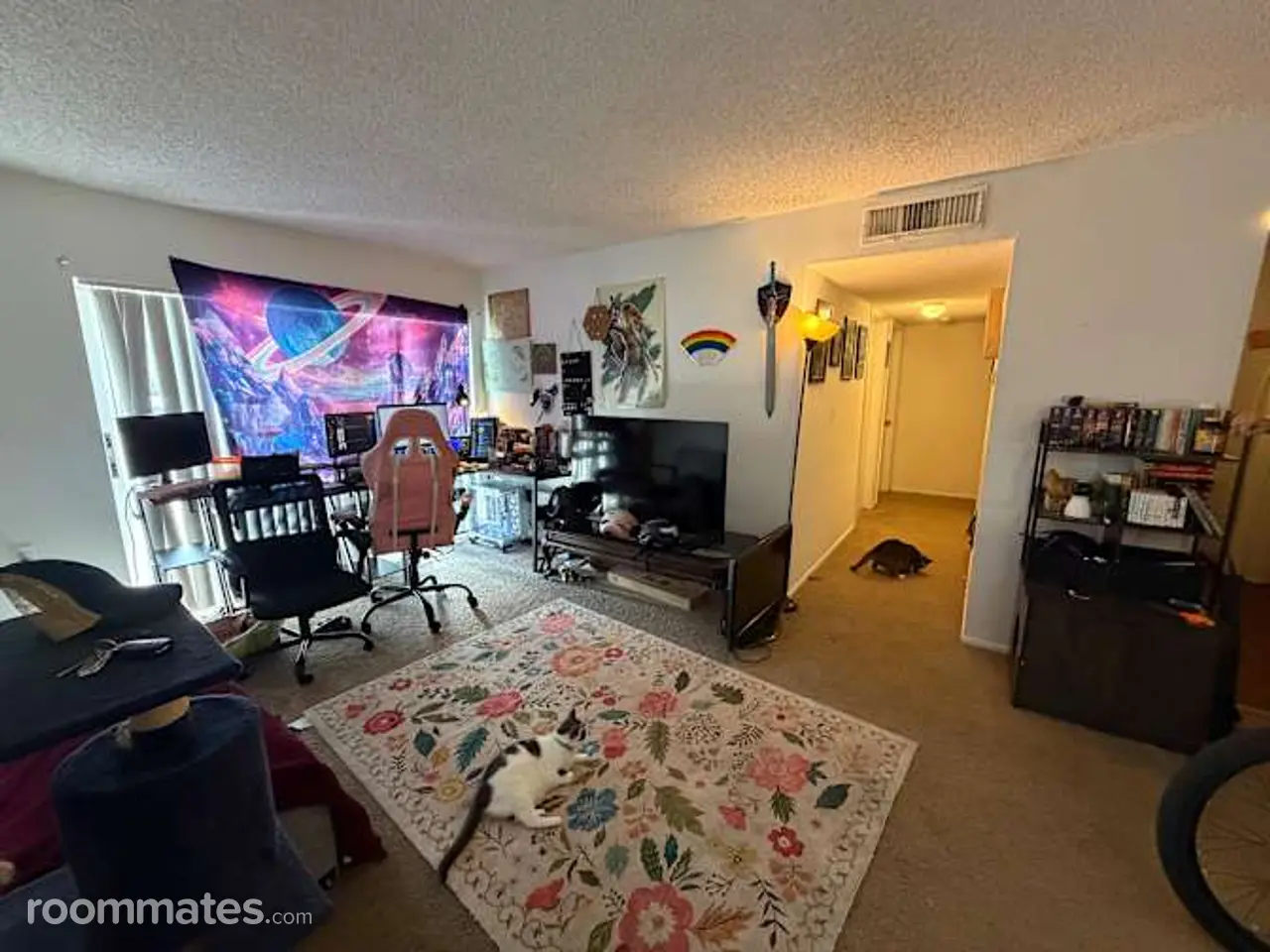 Profile photo 2 of 3