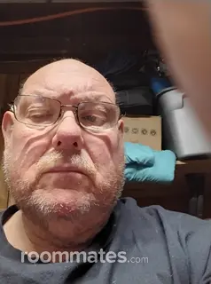 Roommate looking Vernon Rockville, CT, $800