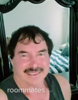 Roommate looking Haines City, FL, $800