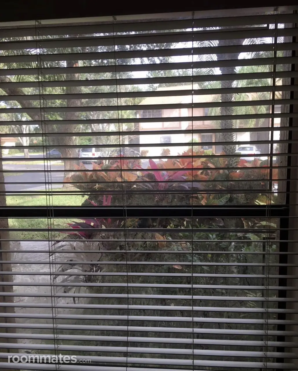 Profile photo 8 of 10