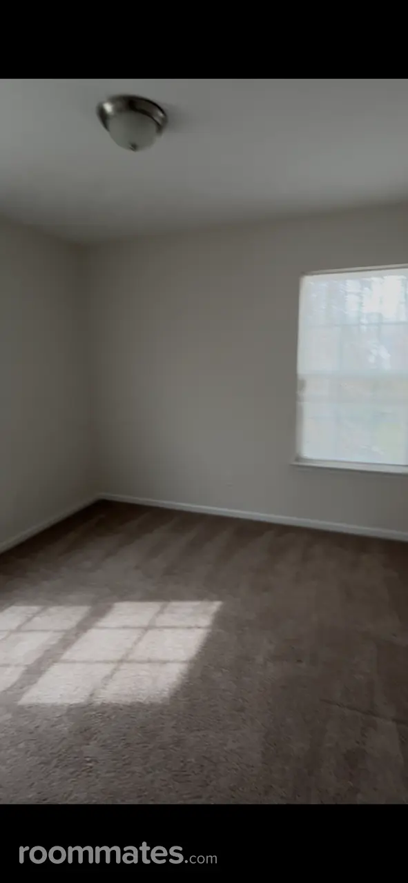 Profile photo 2 of 12