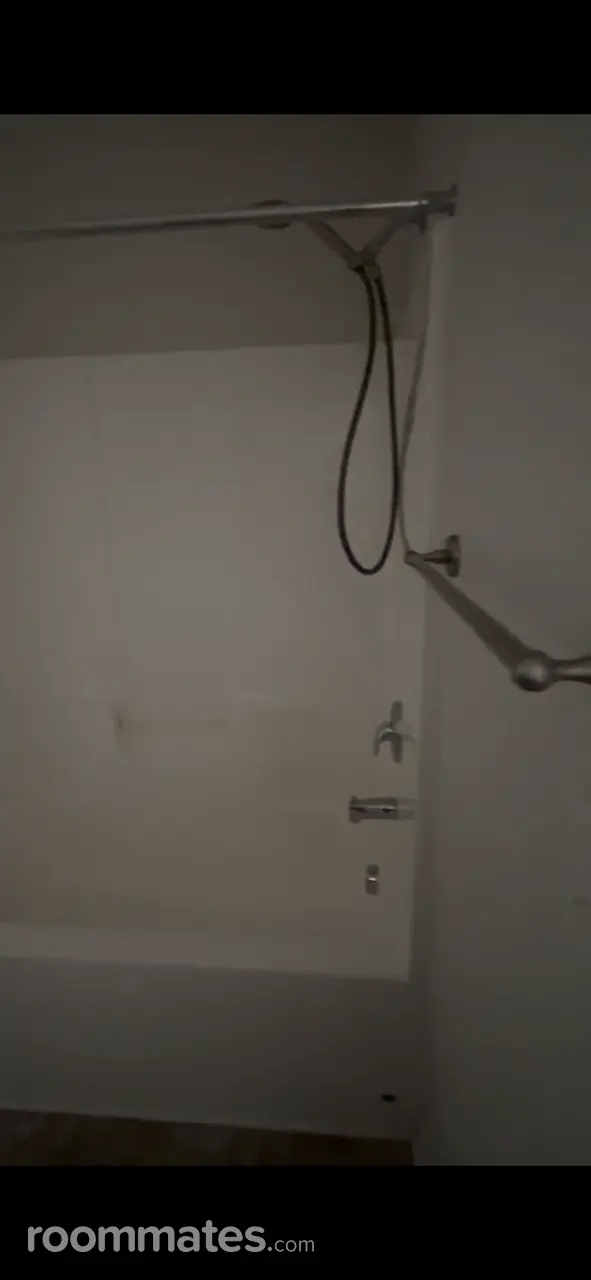 Profile photo 3 of 12