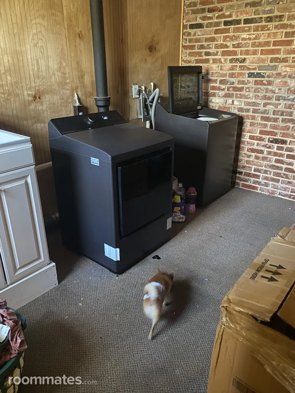 Profile photo 9 of 12