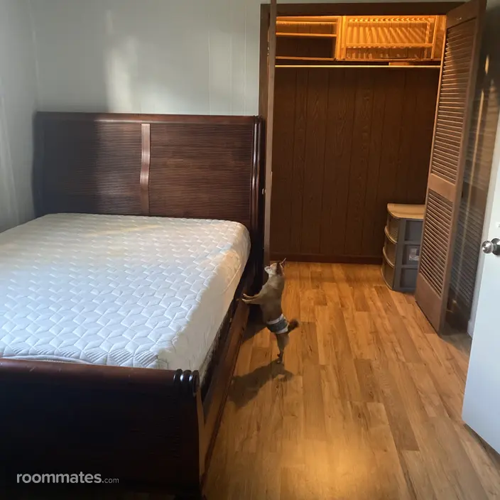 Room for rent in Florence, AL $600, house