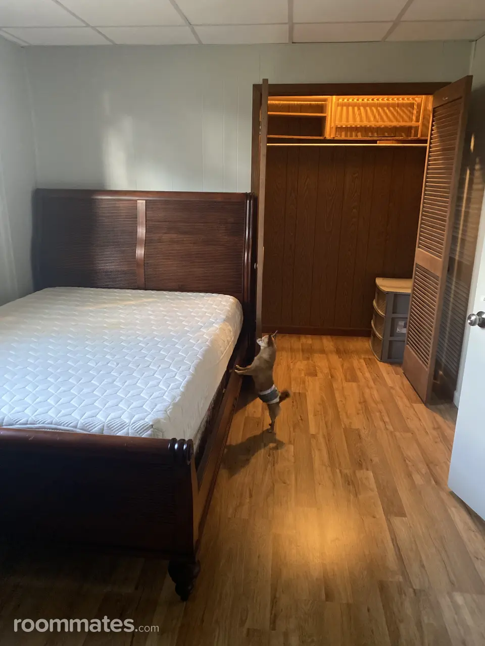 Profile photo 1 of 12