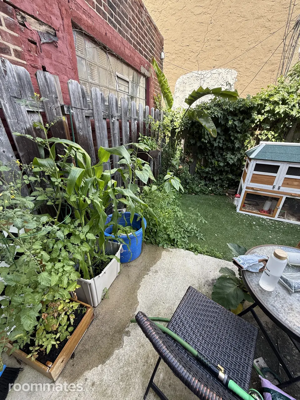 Profile photo 5 of 14