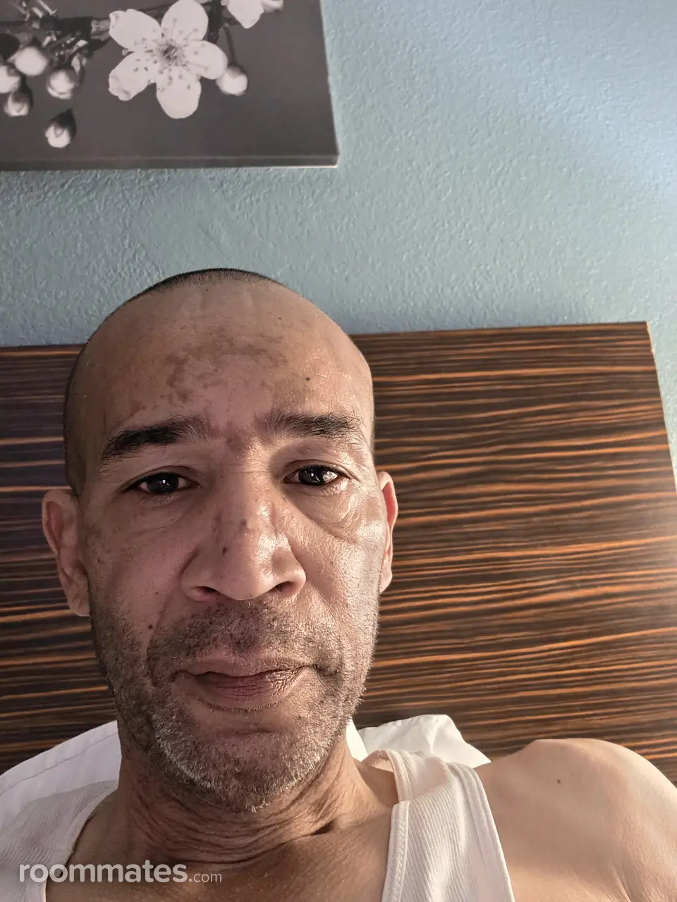 Profile photo 1 of 1