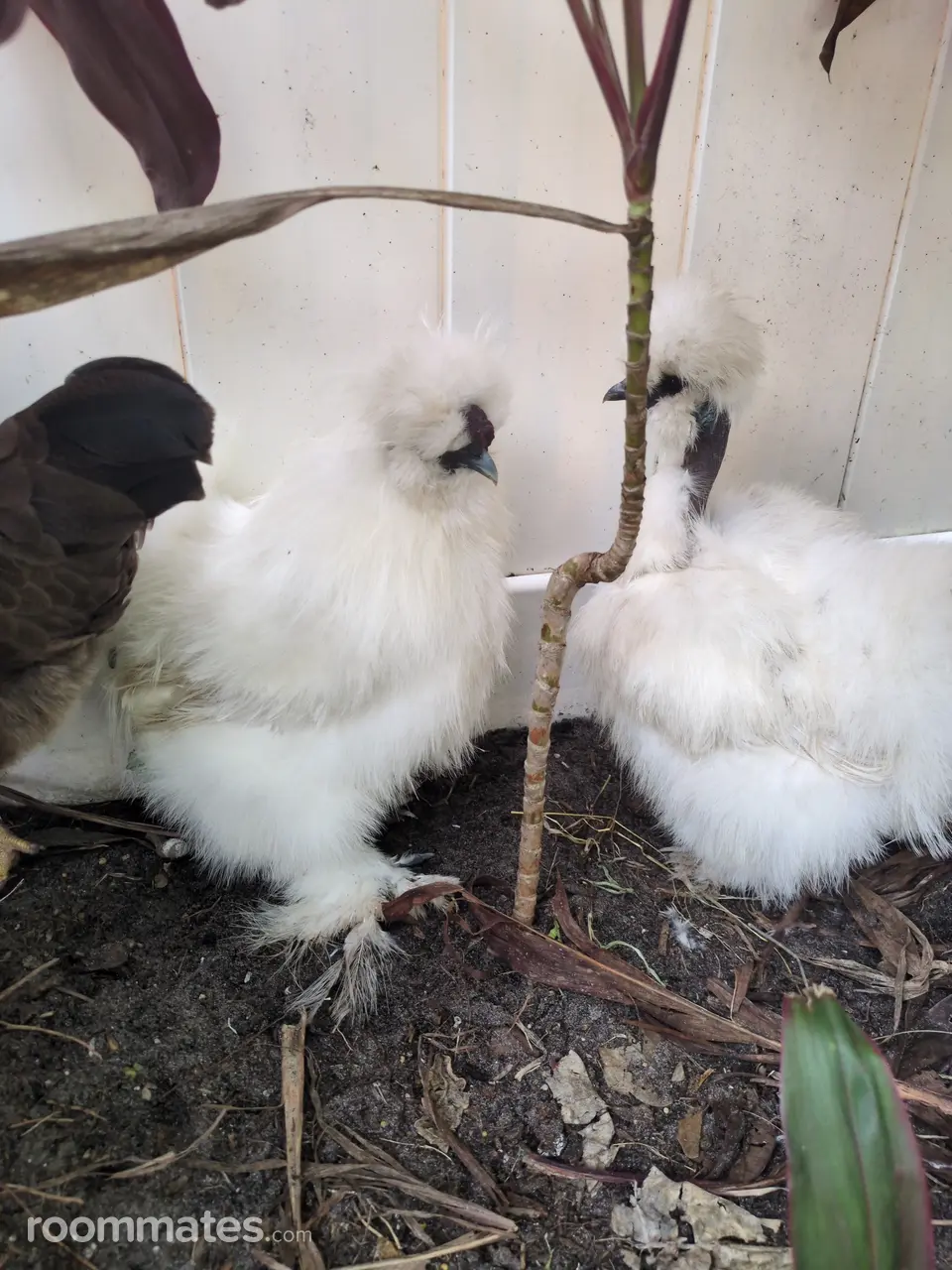 Profile photo 6 of 6