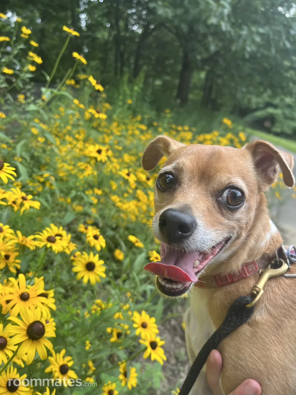 Profile photo 3 of 3