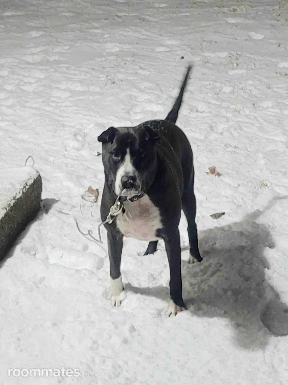 Profile photo 6 of 9