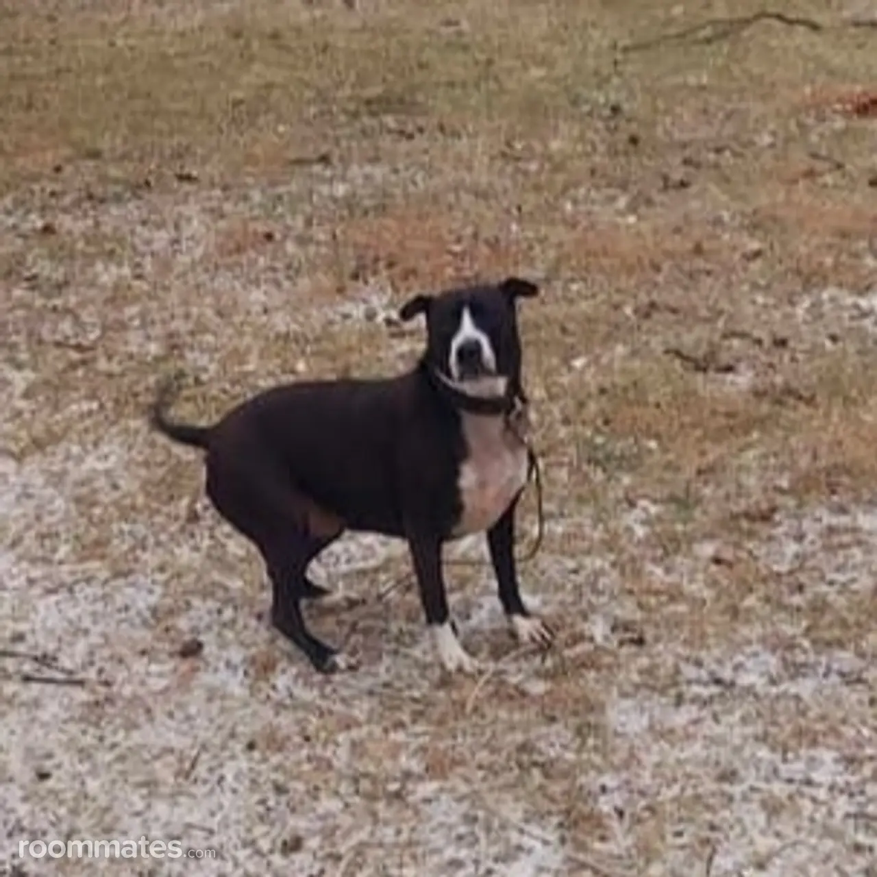 Profile photo 8 of 9