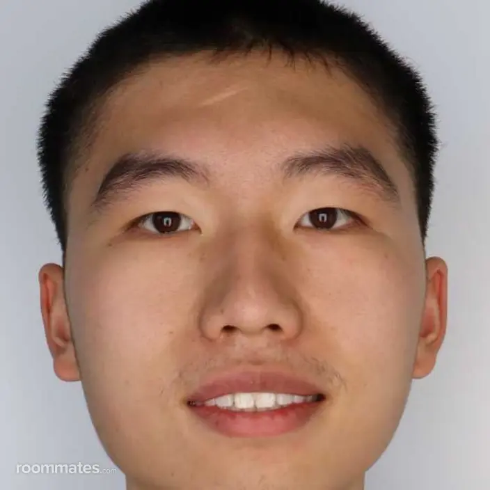 Roommate looking Glenview, IL, $800