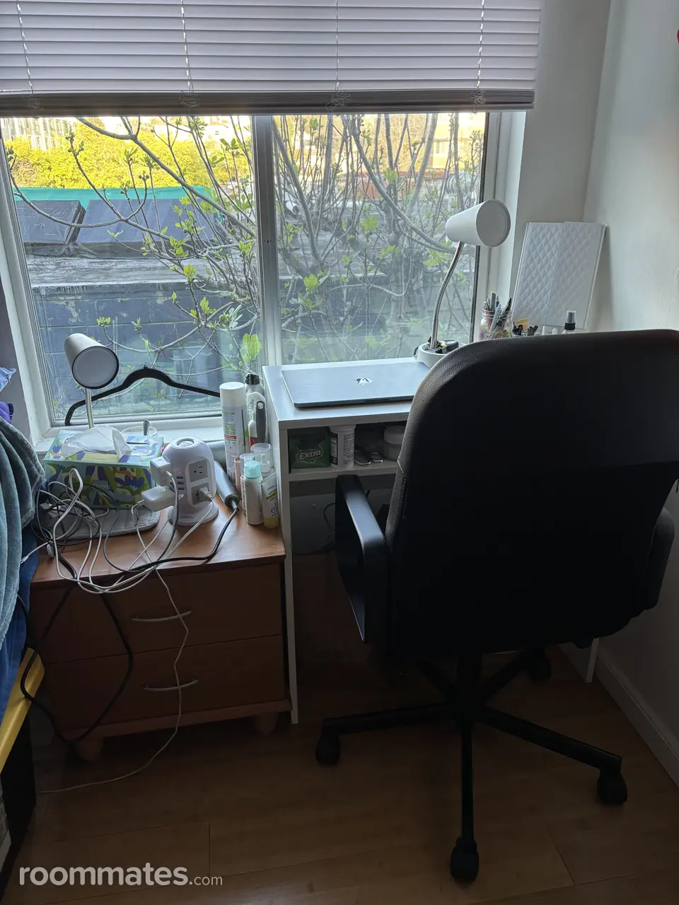 Profile photo 5 of 8