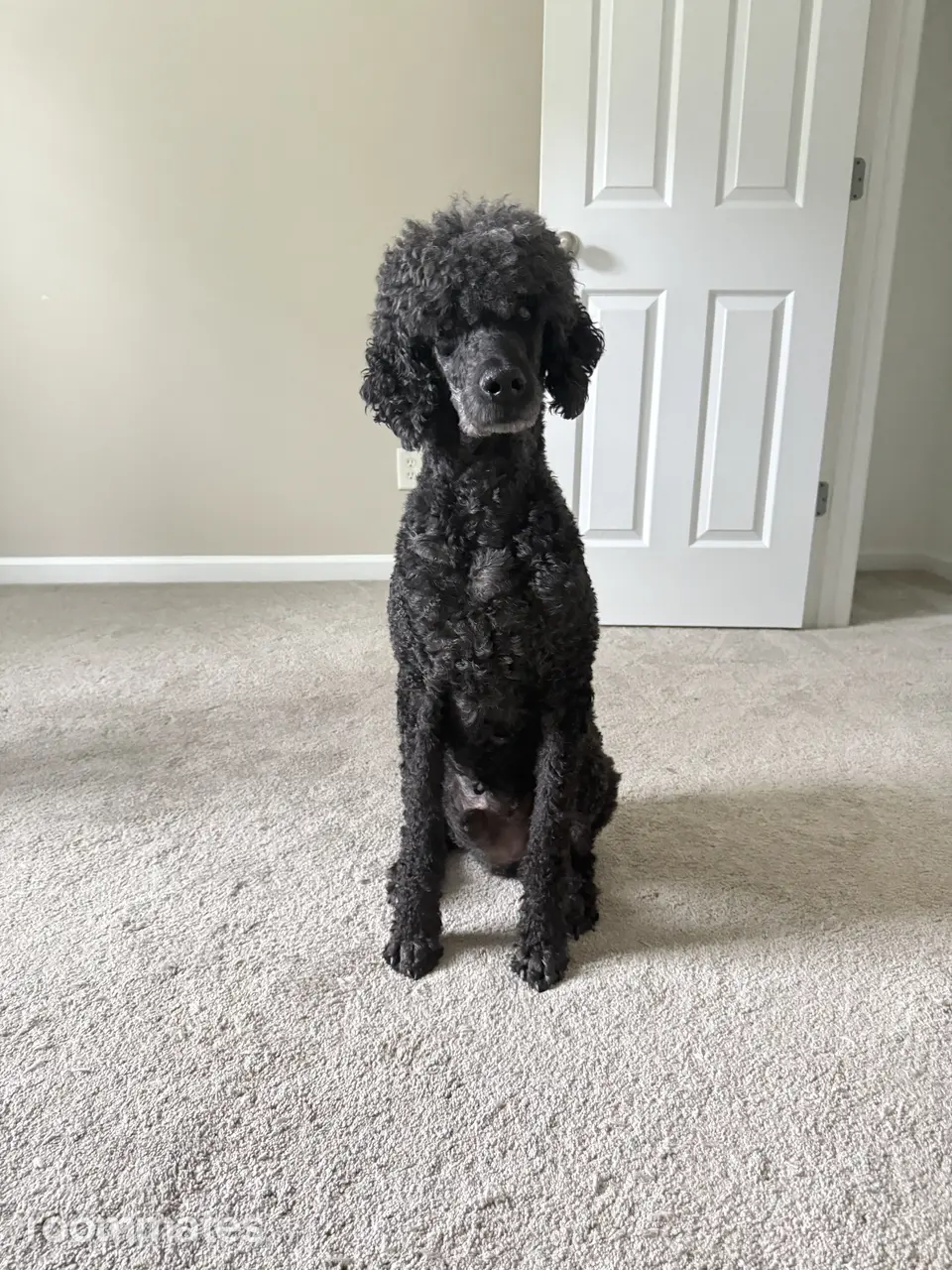 Profile photo 4 of 5