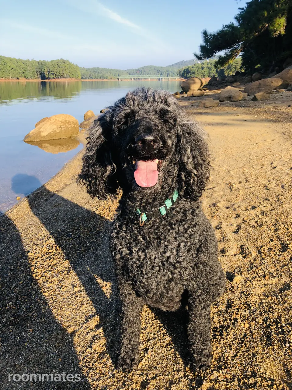 Profile photo 3 of 5