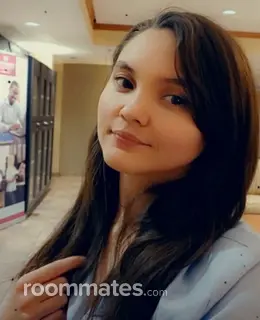 Roommate looking Louisville, KY, $800