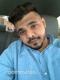 Roommate looking Houston, TX, $800