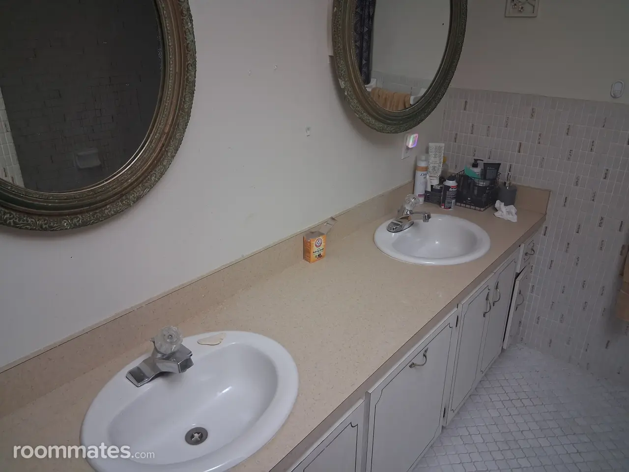 Profile photo 10 of 11