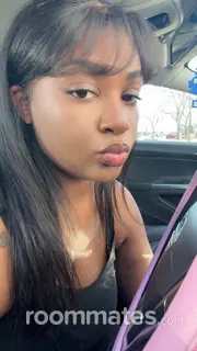 Roommate looking Schaumburg, IL, $700